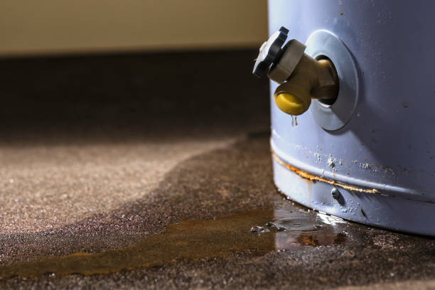 Best Local water damage restoration  in Lemont, IL