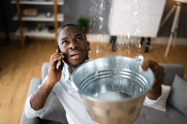 Best Ceiling water damage repair  in Lemont, IL