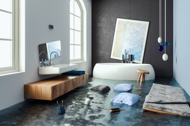 Best Flooded house restoration  in Lemont, IL