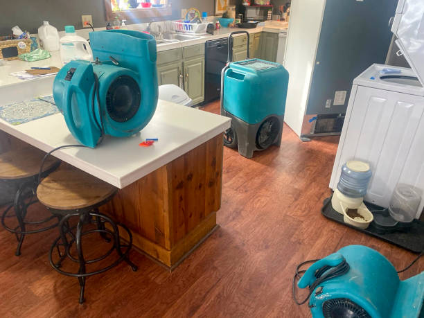 Best Professional water damage repair  in Lemont, IL