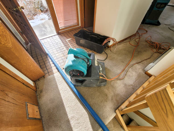 Best Carpet water damage restoration  in Lemont, IL