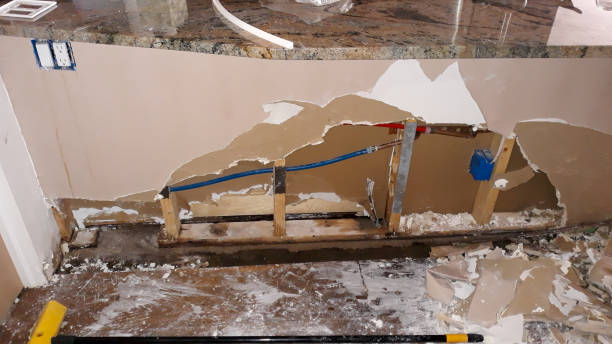 Best Water damage cleanup near me  in Lemont, IL
