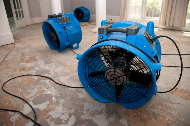 Best Commercial water damage restoration  in Lemont, IL