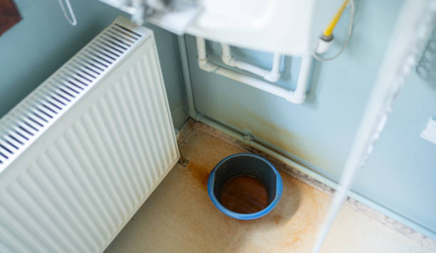 Best 24/7 water damage repair  in Lemont, IL