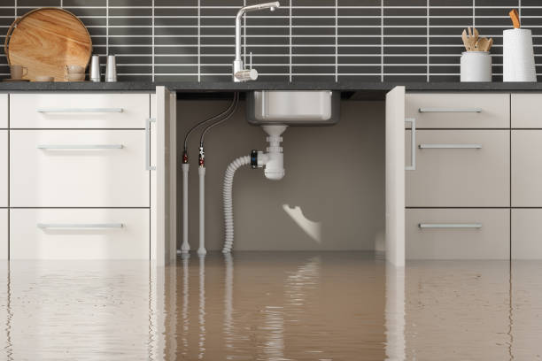  Lemont, IL Water damage restoration Pros